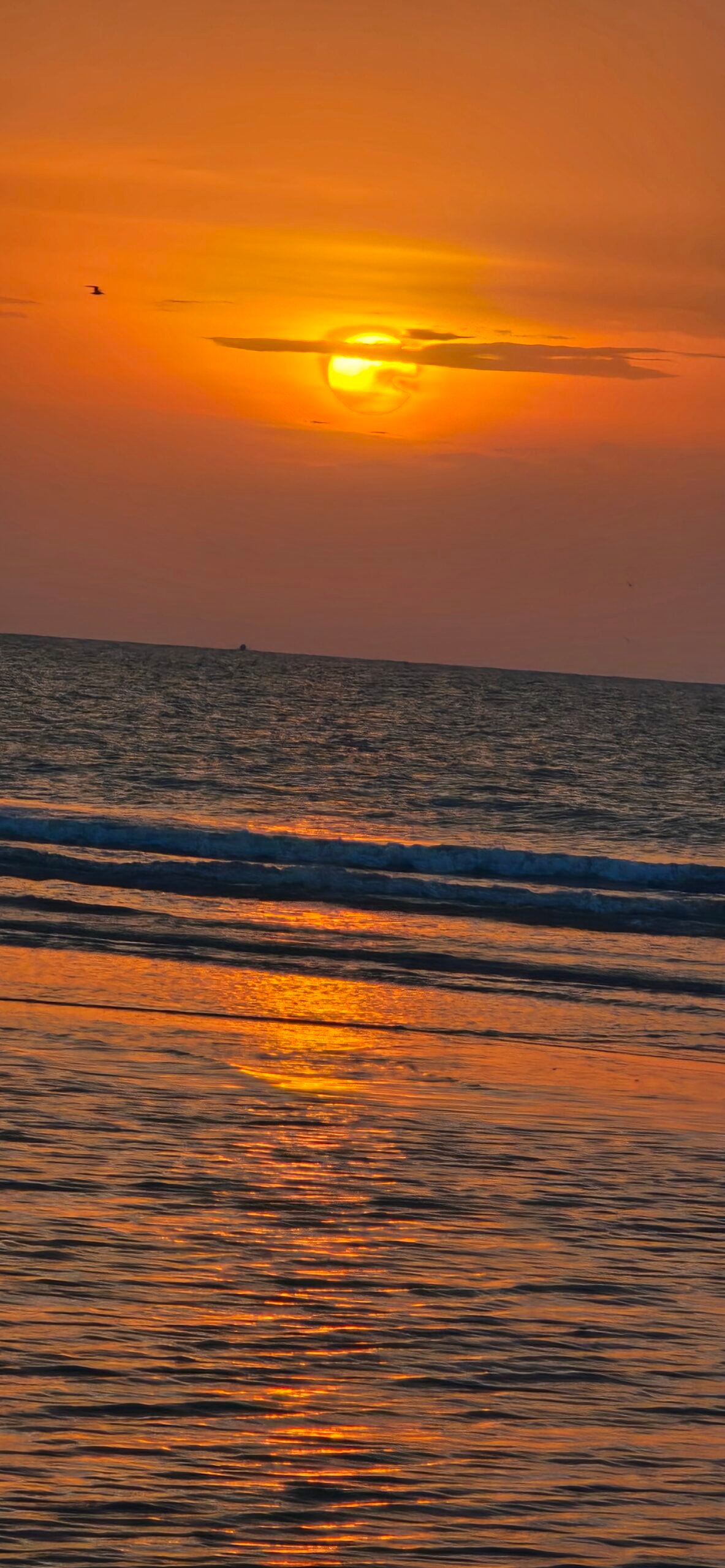 Costa de Mokha, no Iêmen, às margens do Mar Vermelho